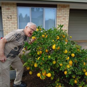 Harry with a lemon tree.jpg