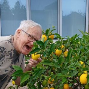Harry with a lemon tree_Copy.jpg