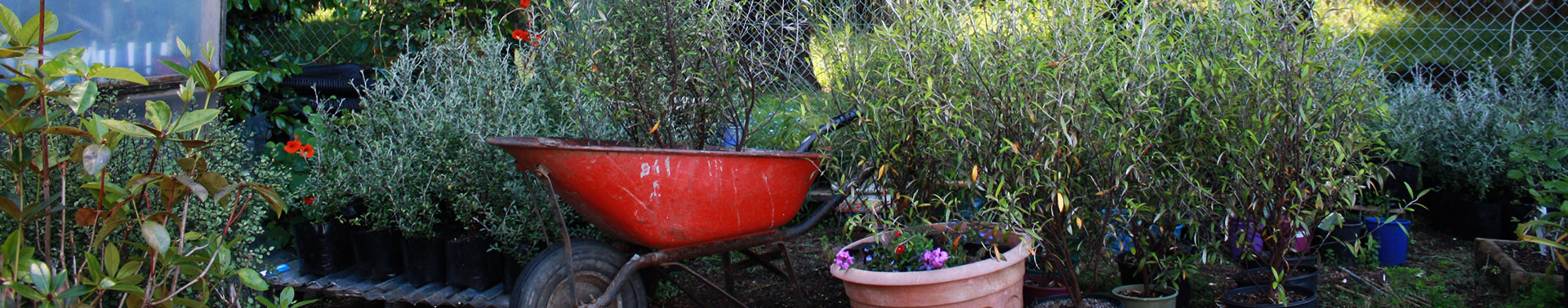 https://www.kerikerivillage.co.nz/uploads/images/services-banner.jpg