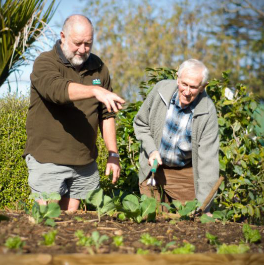 https://www.kerikerivillage.co.nz/uploads/images/volunteering-circle.jpg